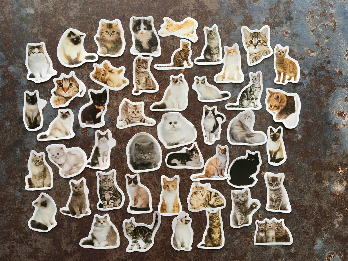 Cute Cats sticker mix for journaling or scrapbooking