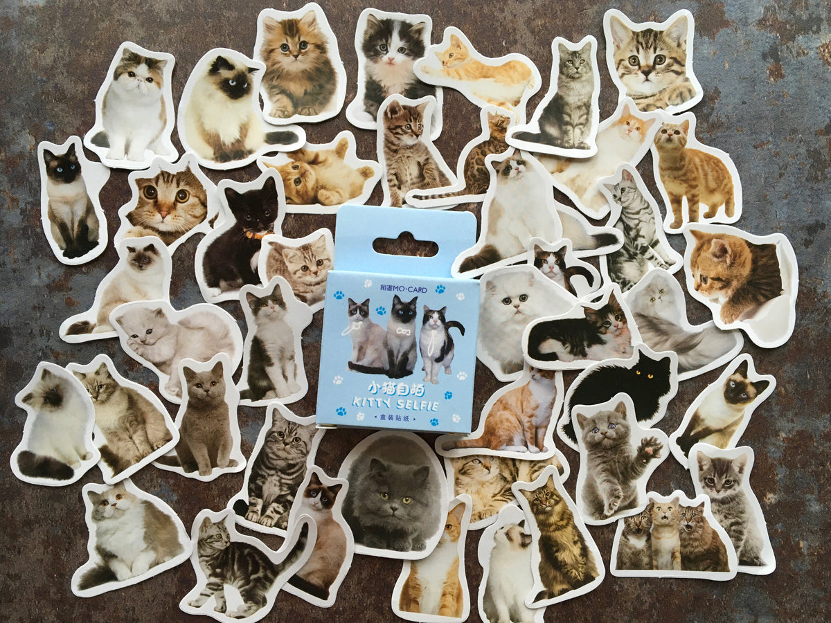 Cute Cats sticker mix for journaling or scrapbooking