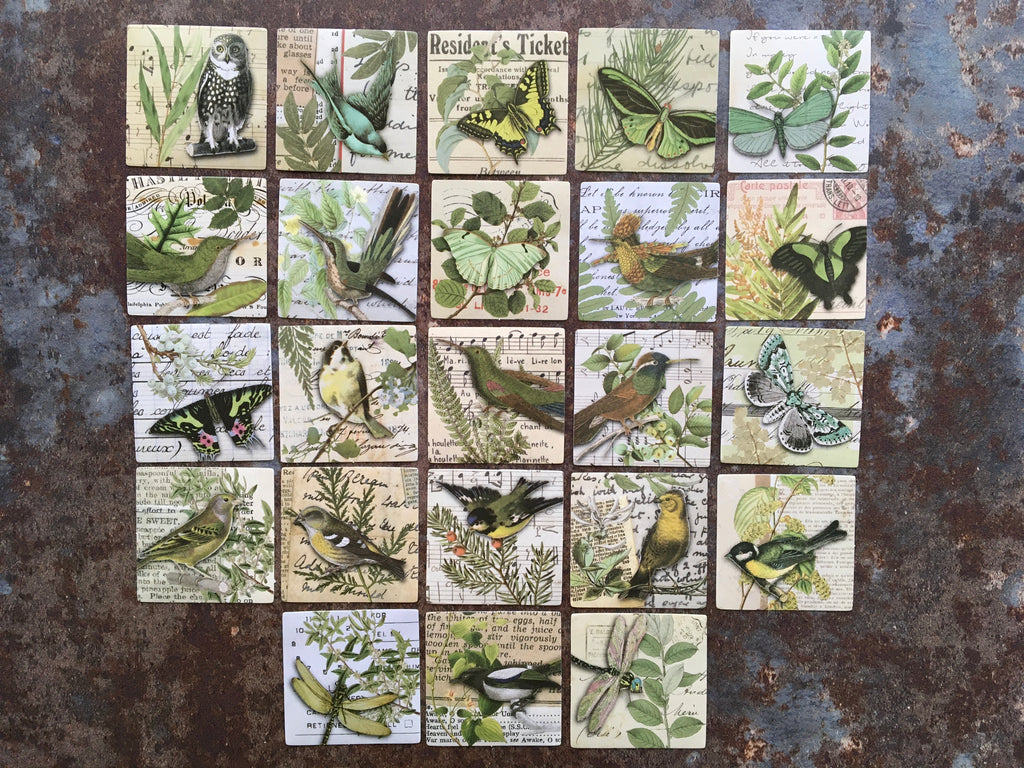 'Birds & Butterflies' GREEN collage style sticker box