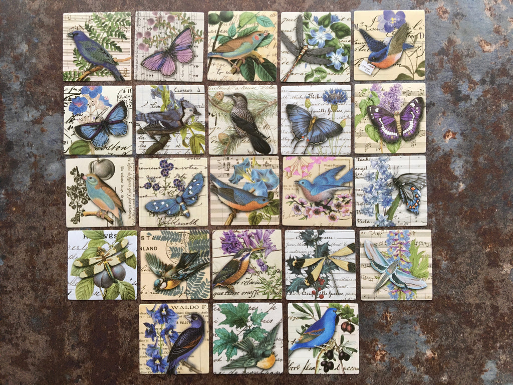 'Birds & Butterflies' BLUE collage style sticker box