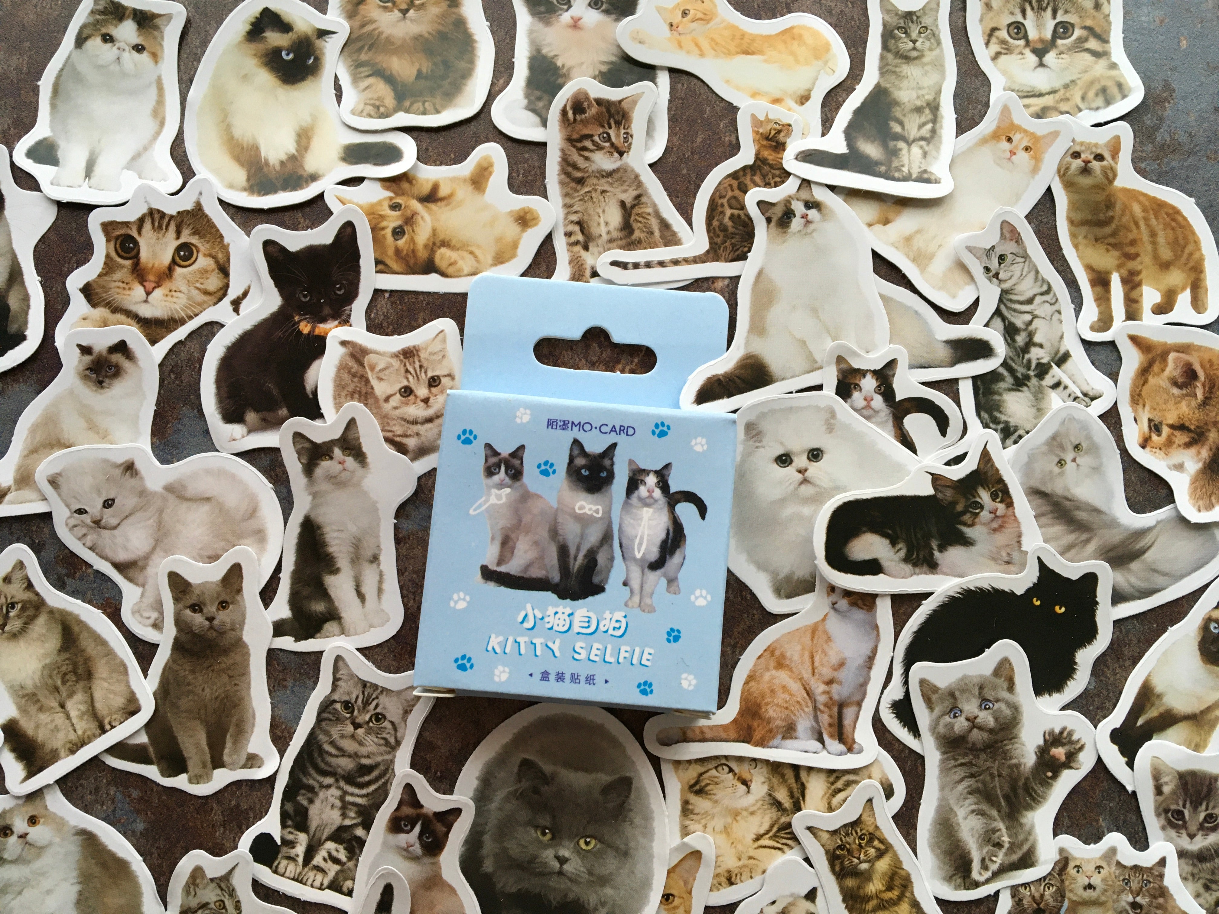 Cute Cats sticker mix for journaling or scrapbooking – BluebellHillCrafts