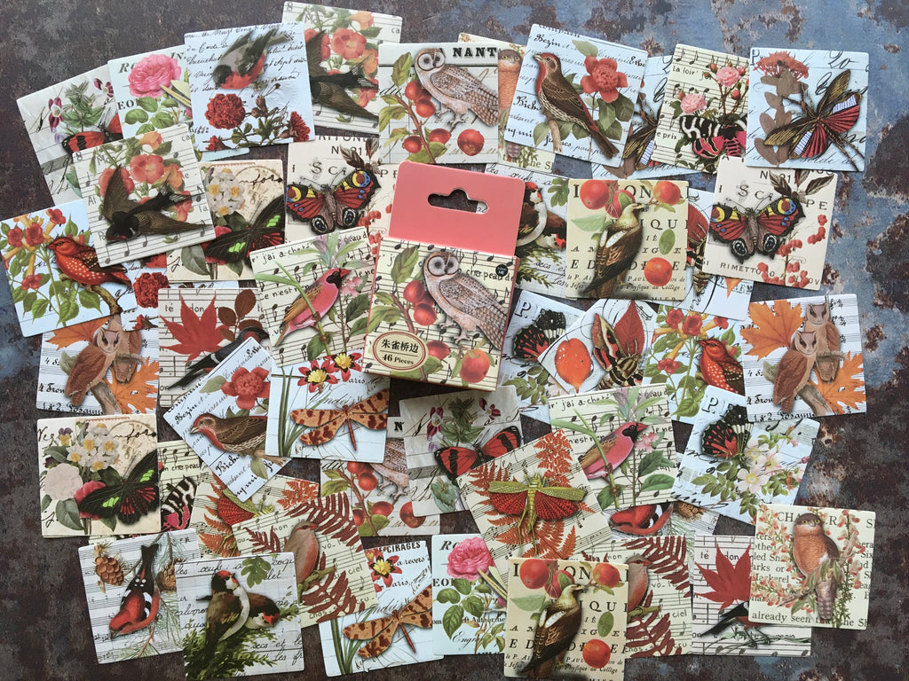 'Birds & Butterflies' RED collage style sticker box