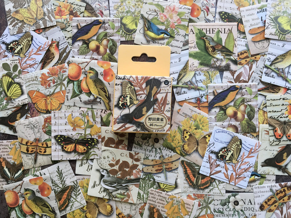 'Birds & Butterflies' YELLOW collage style sticker box