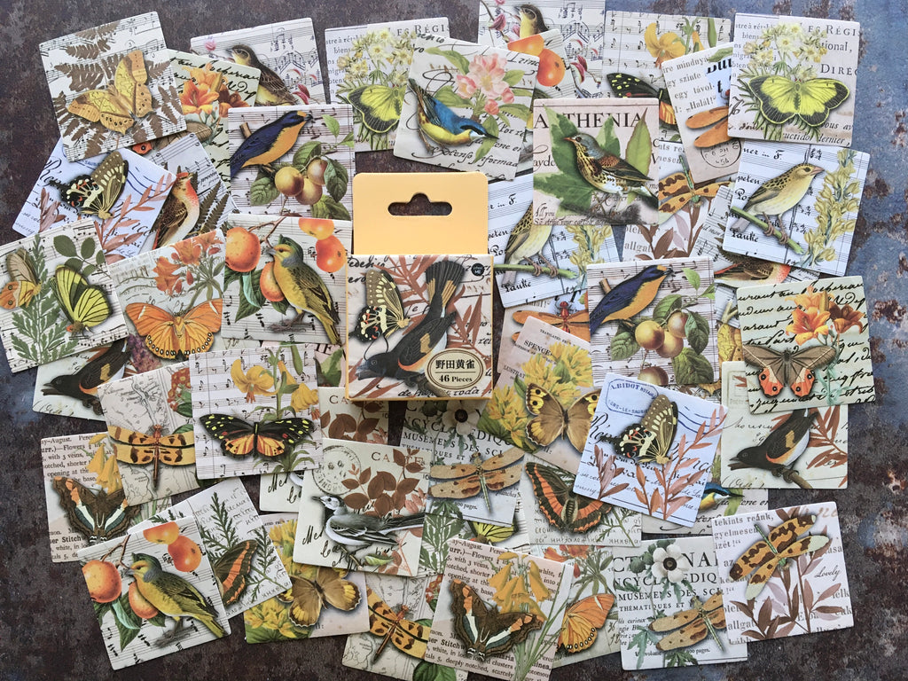 'Birds & Butterflies' YELLOW collage style sticker box