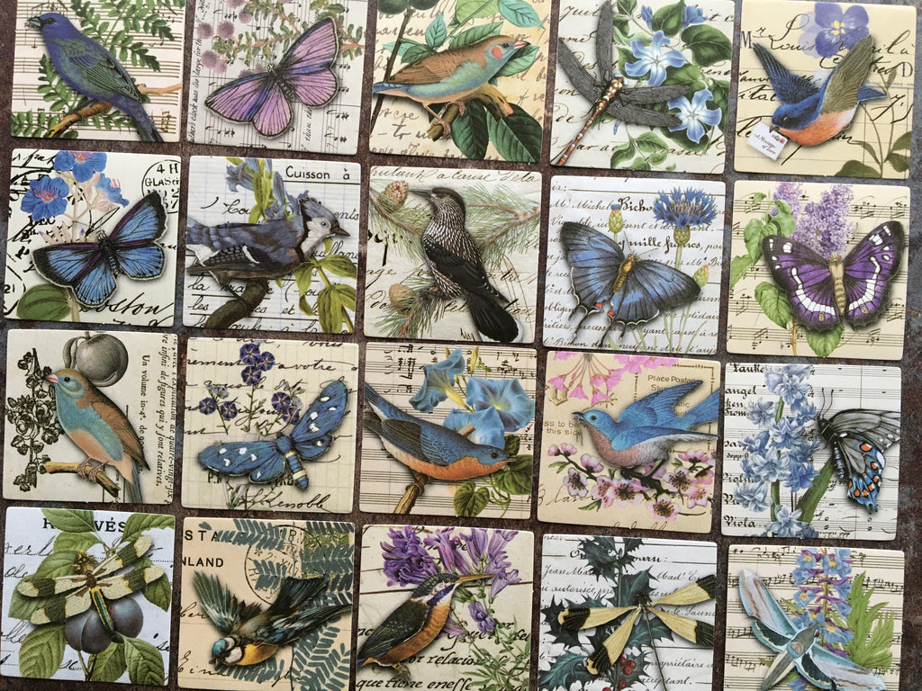 'Birds & Butterflies' BLUE collage style sticker box