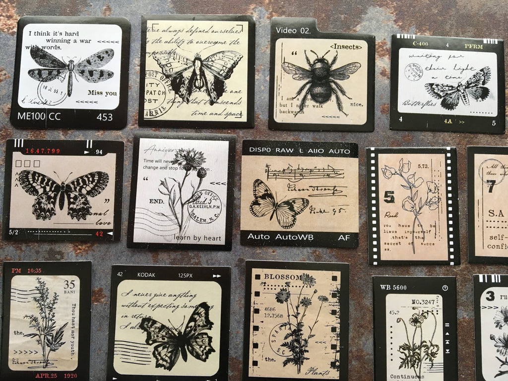 'Bees and other insects' sticker box