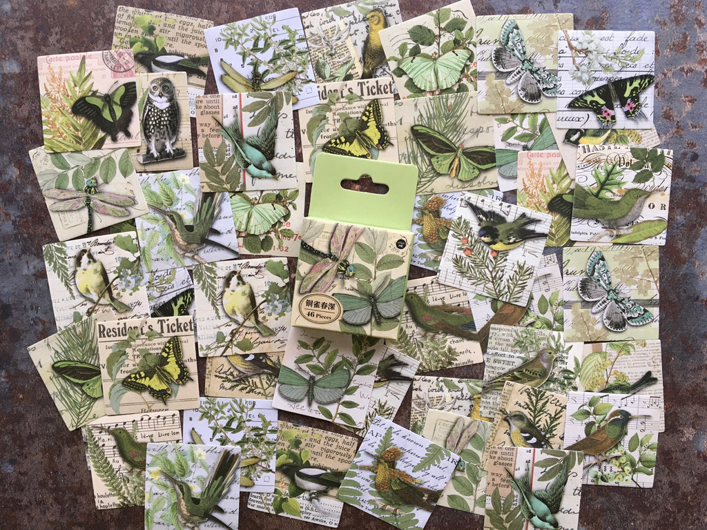 'Birds & Butterflies' GREEN collage style sticker box