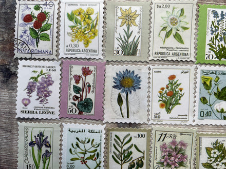 Sticker packs – BluebellHillCrafts