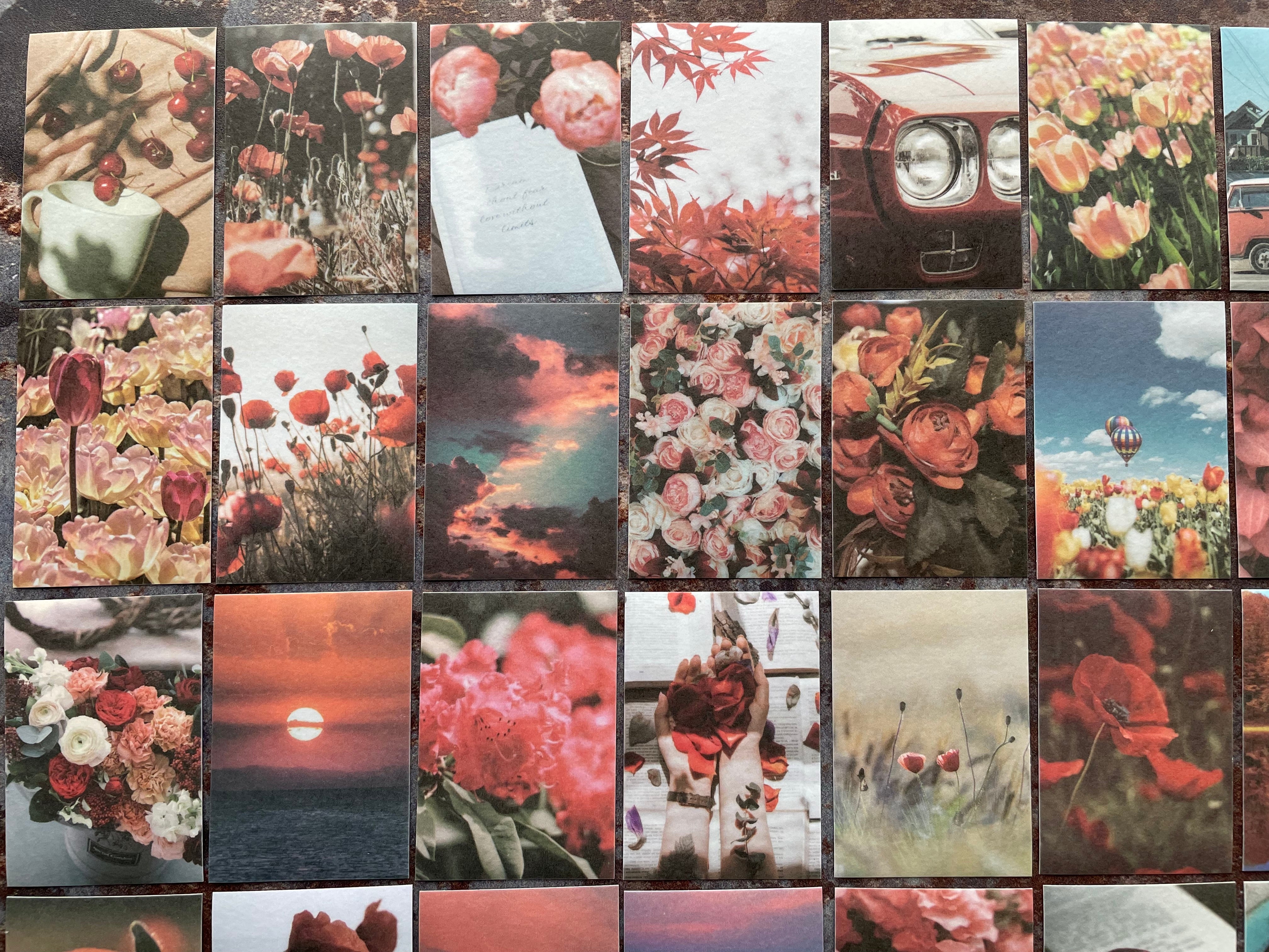 Sticker Boolets 50pcs floral sticker booklet for journaling and paper crafts ...