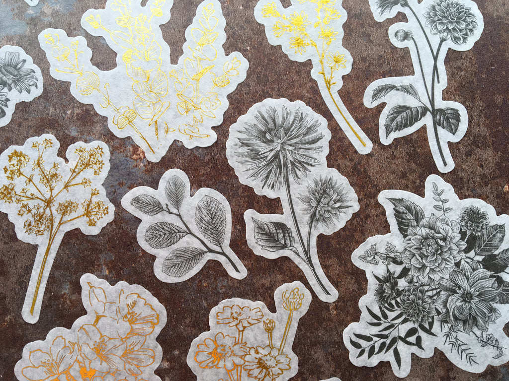 'Black, white & gold botanicals' large sticker set