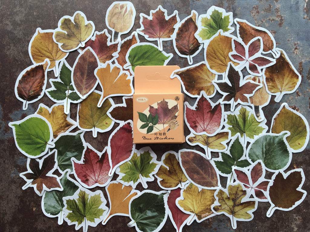 autumn leaves sticker box