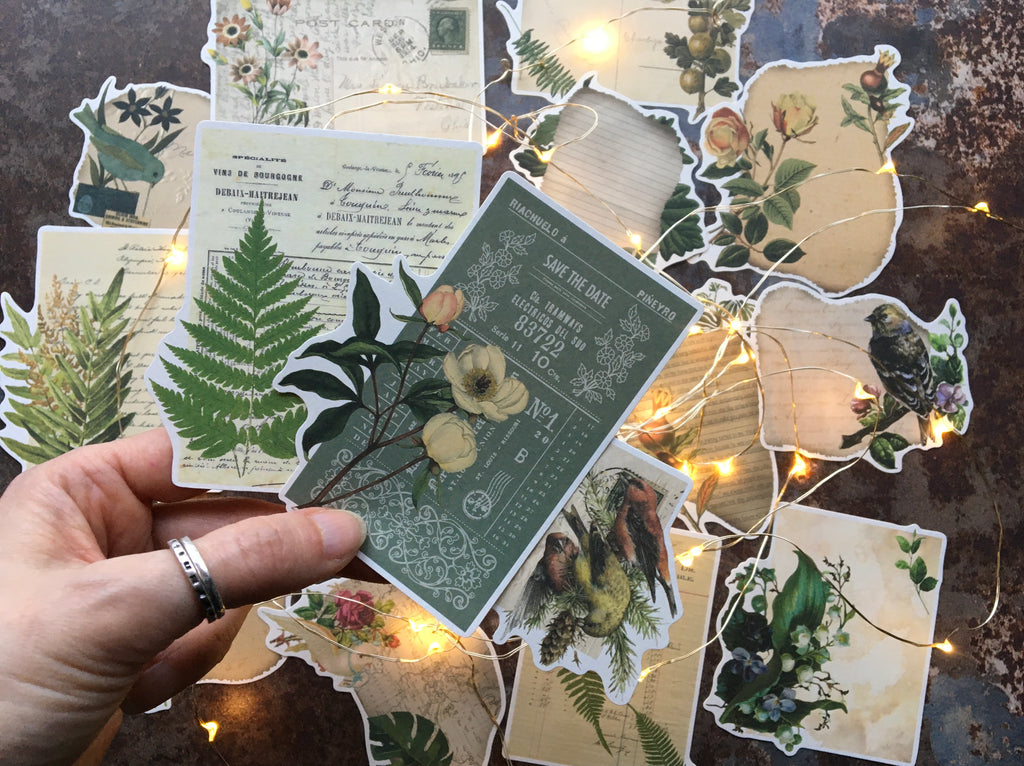 vintage botanical stickers