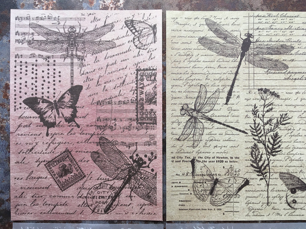 'Dragonfly & butterfly' background papers, regular & translucent vellum