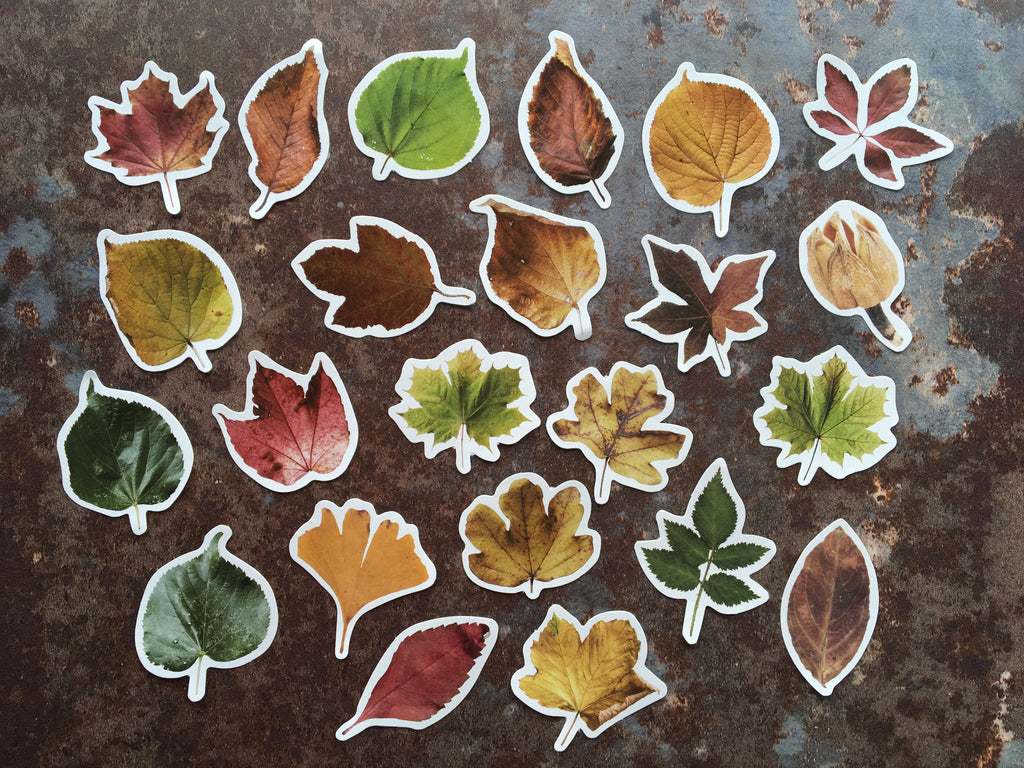 autumn leaves journal stickers