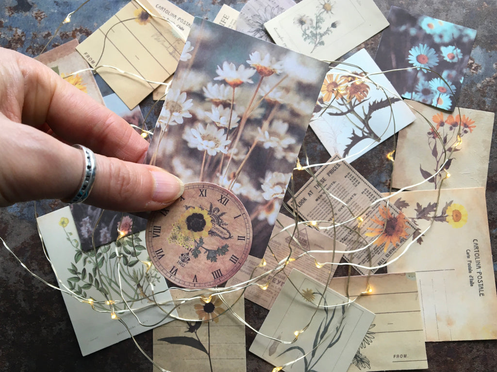 vintage botanical stickers