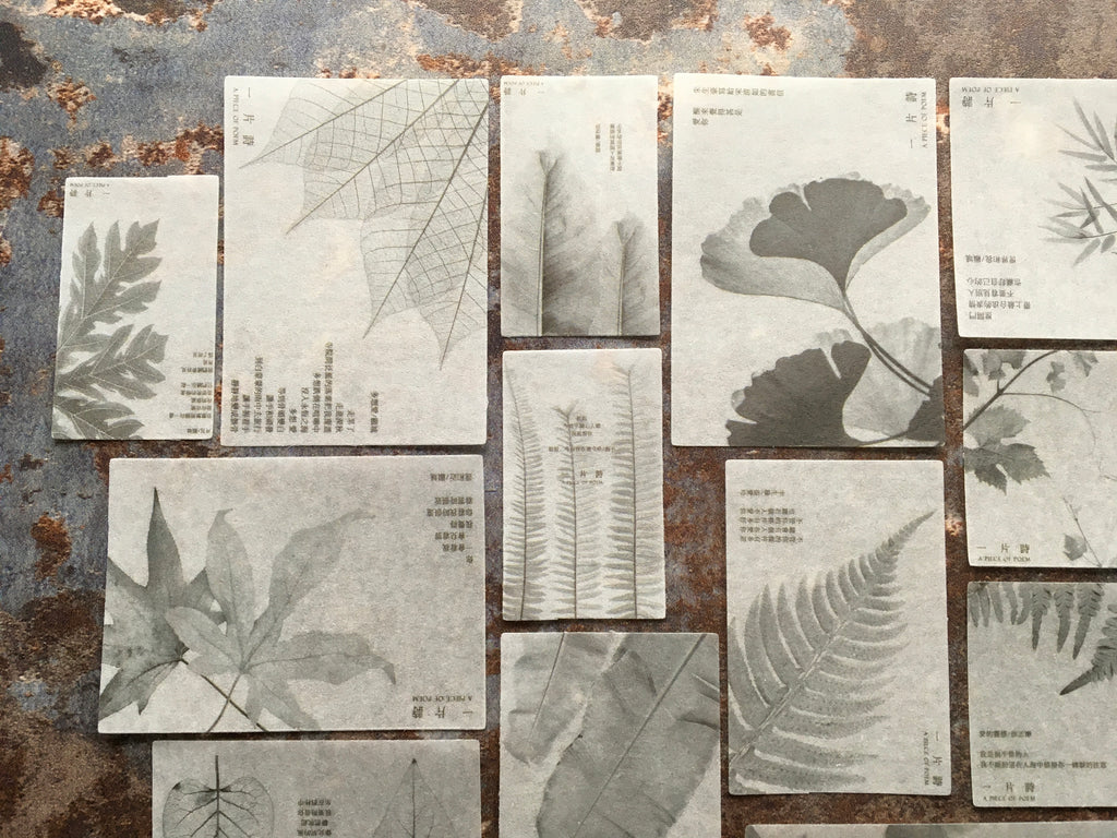 'Minimalist leaves' black & white sticker collection