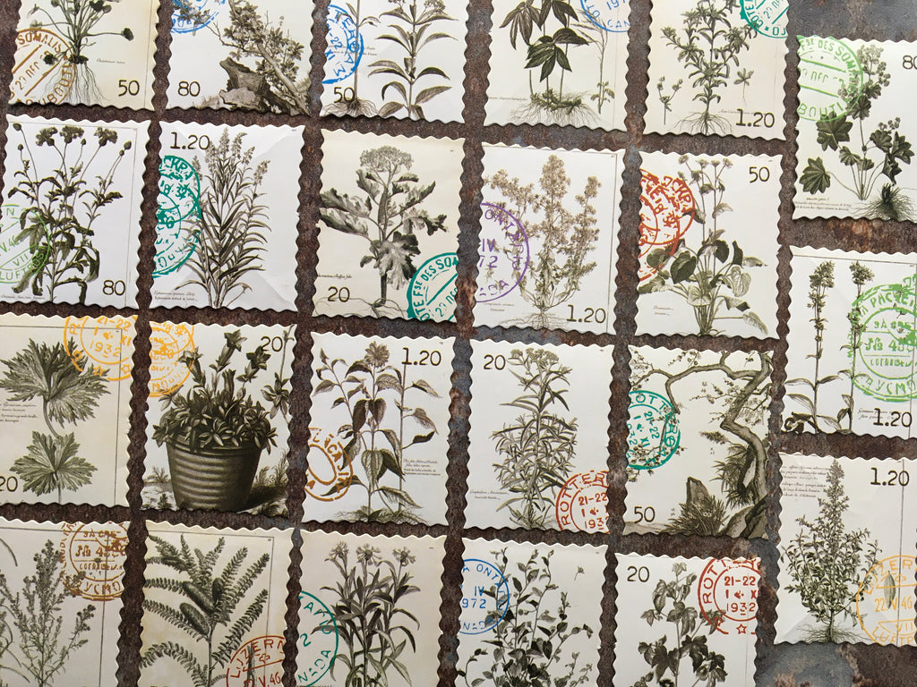 'Botanical stamp style' sticker box