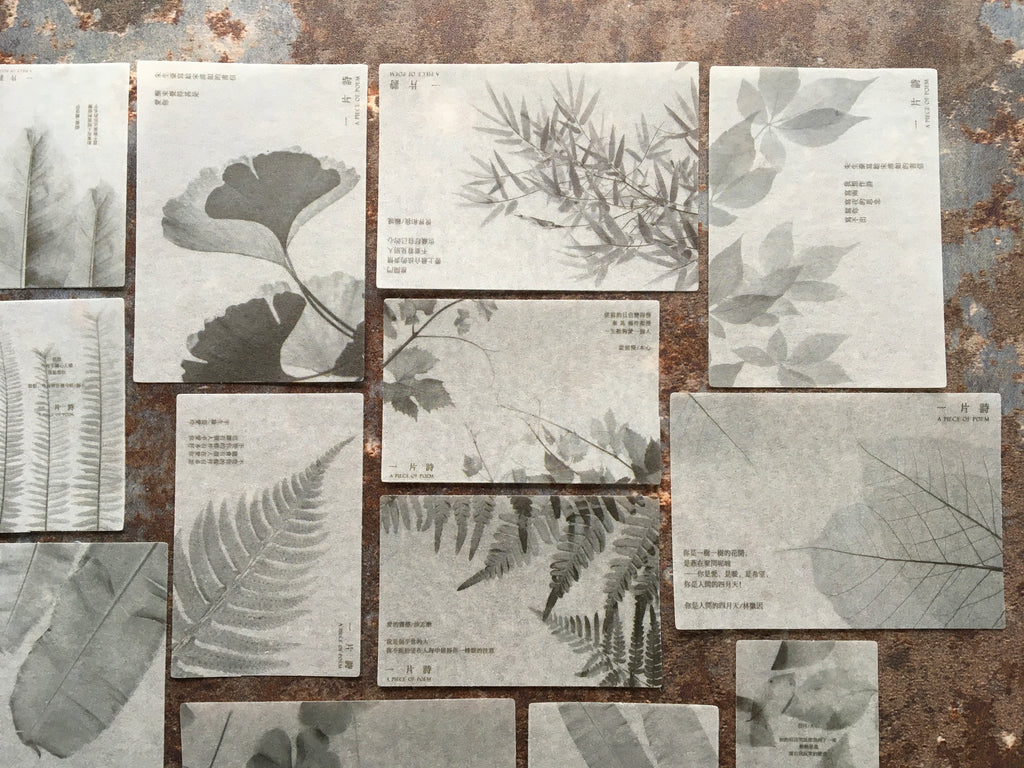 'Minimalist leaves' black & white sticker collection