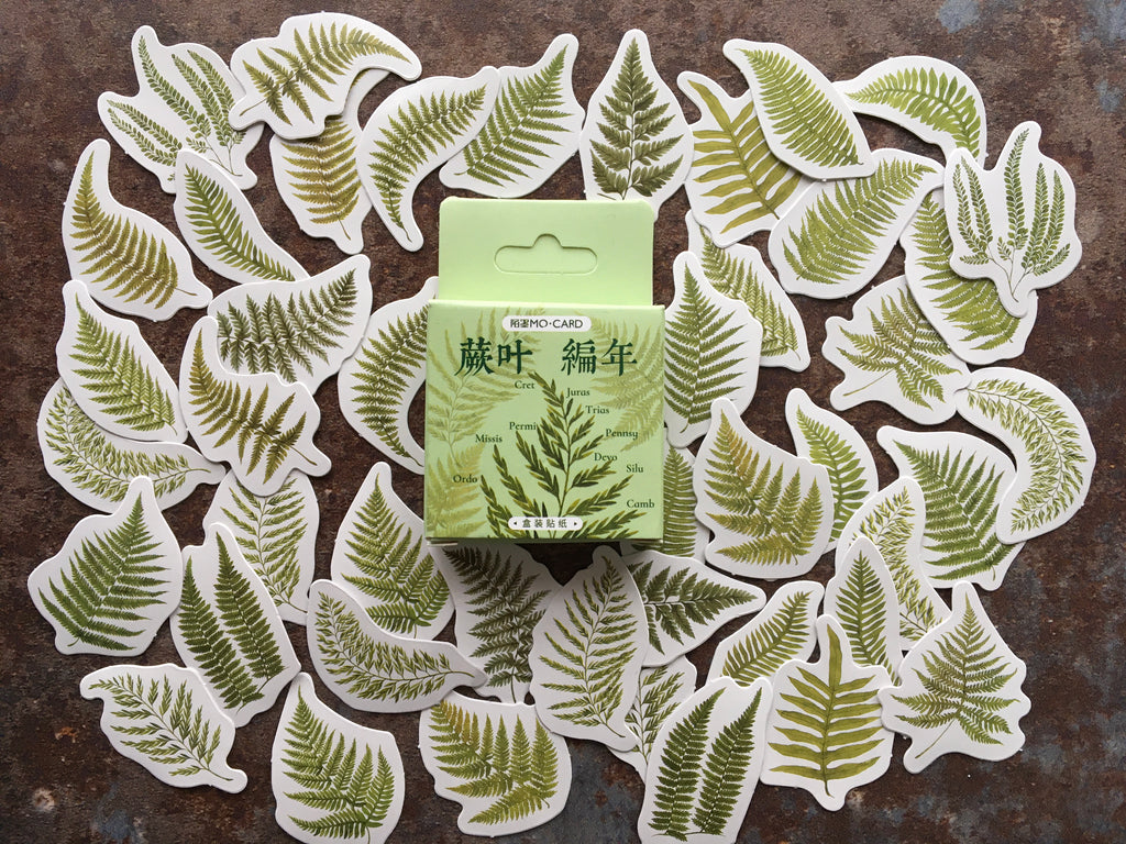 'Green Ferns' sticker box