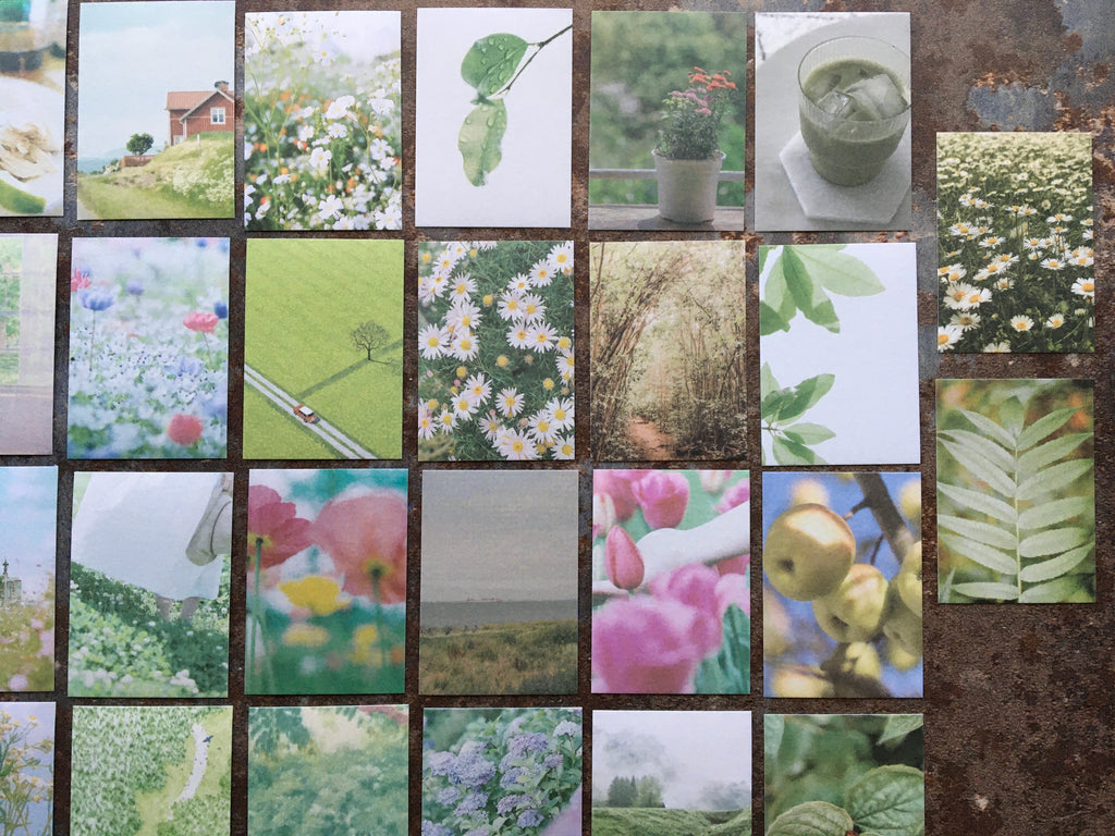 'Garden Star GREEN' sticker booklet (50pcs)