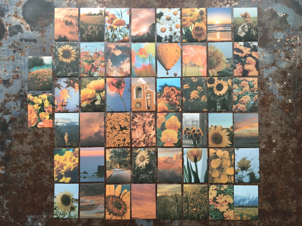 'Garden Star ORANGE' sticker booklet (50pcs)