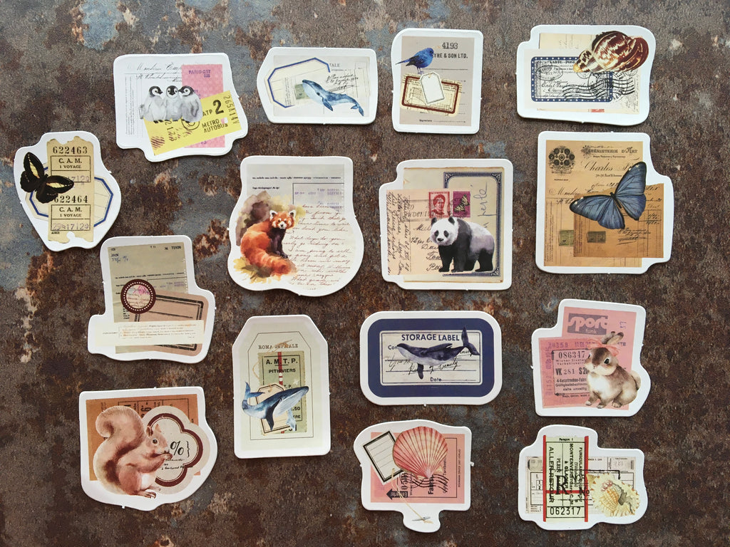 'Animal kingdom' collage style sticker box