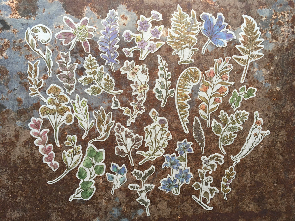 'Illustrated Botanicals' sticker collection