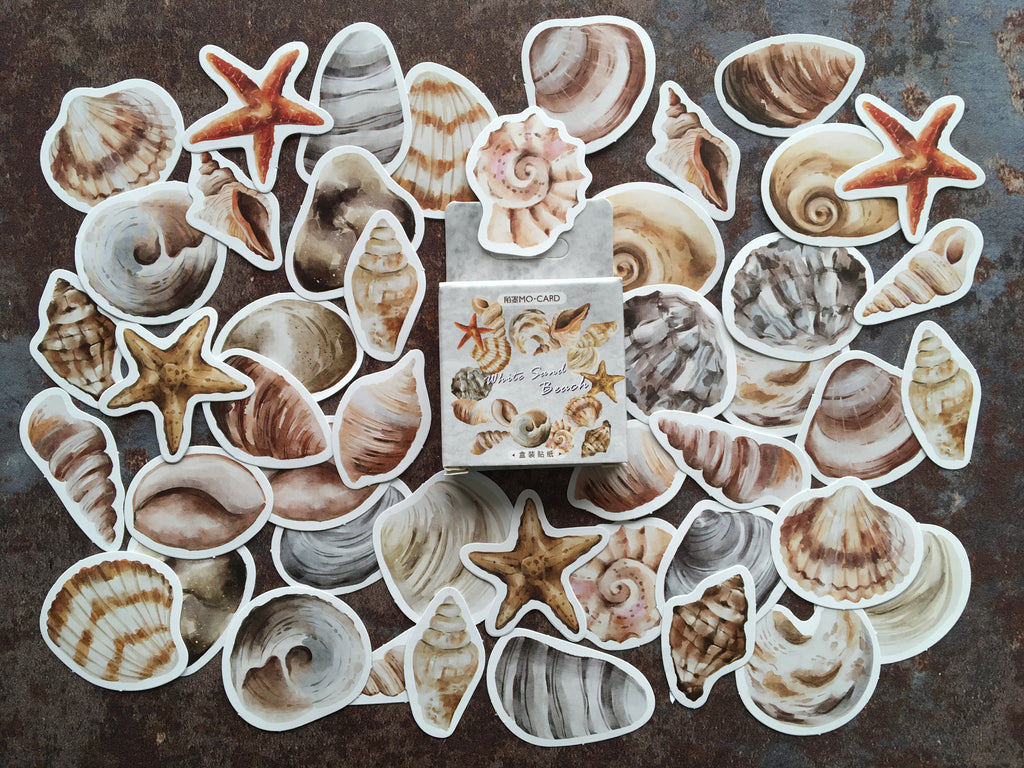 'Painted Seashells' sticker box