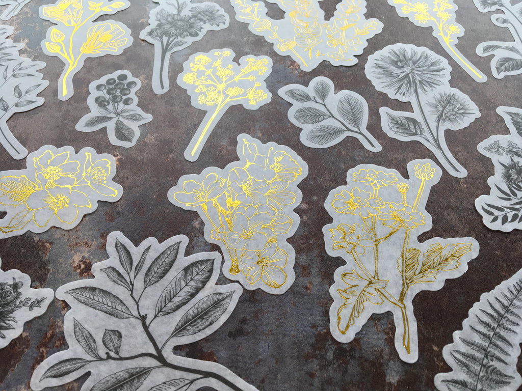 'Black, white & gold botanicals' large sticker set