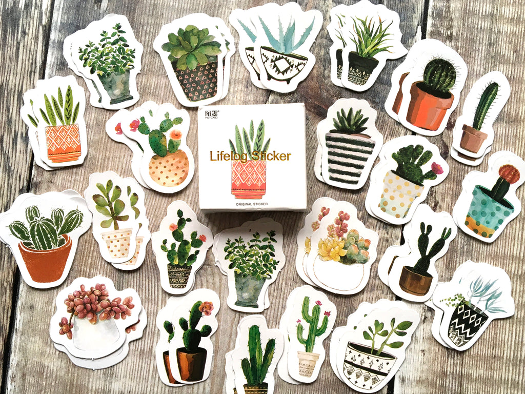 Cactus sticker box