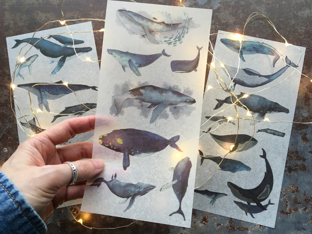 'Blue Whales' sticker sheets