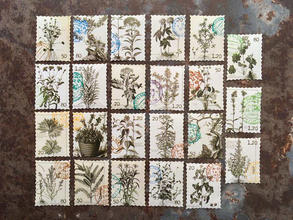 Stamp style botanical stickers for journalling