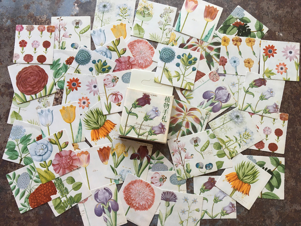 'Floral Drawings' sticker box