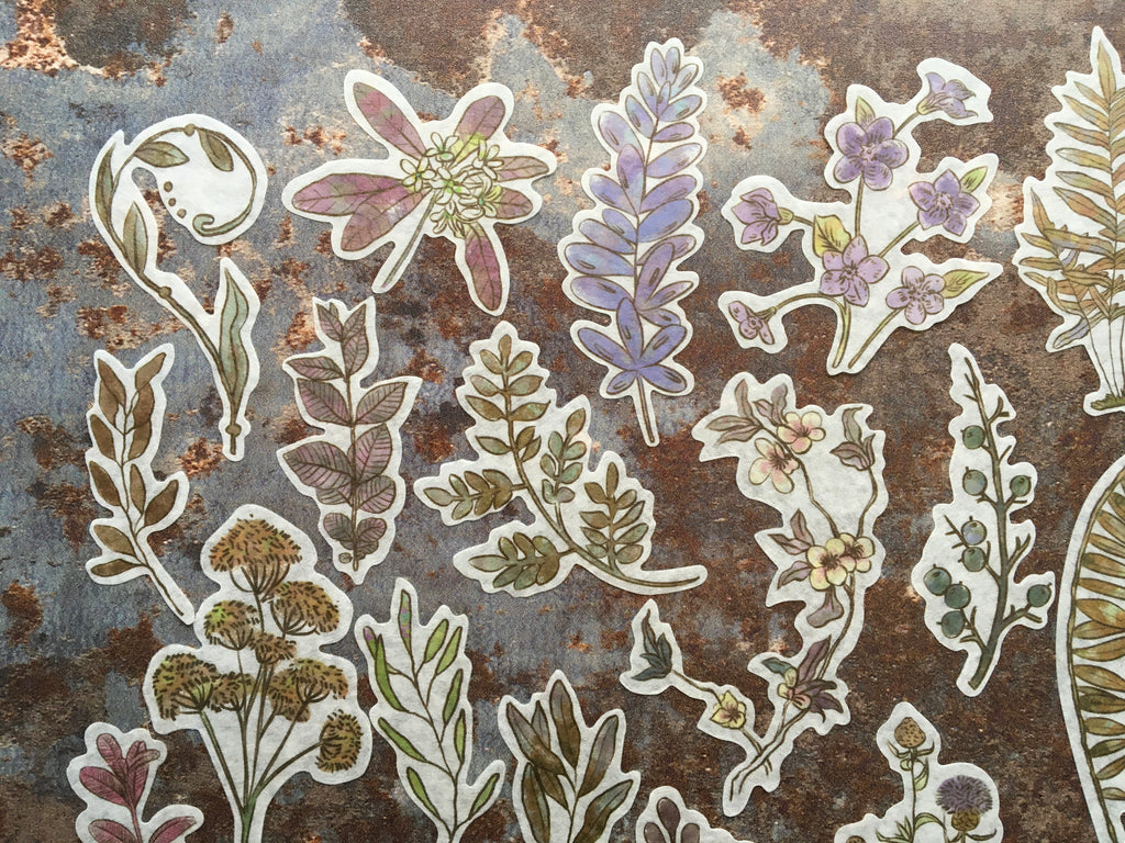 'Illustrated Botanicals' sticker collection
