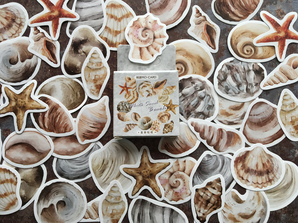 'Painted Seashells' sticker box