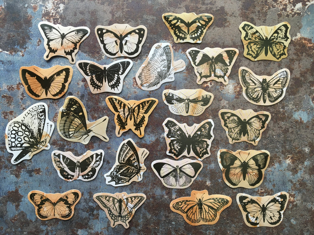 Butterfly illustration stickers